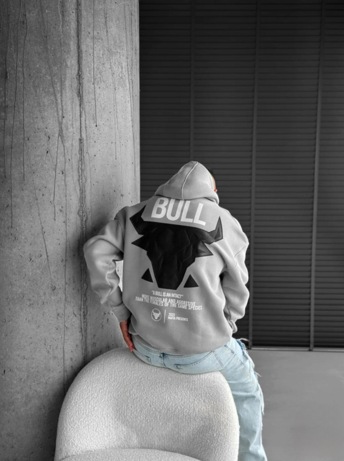Bull Unisex Hoodie