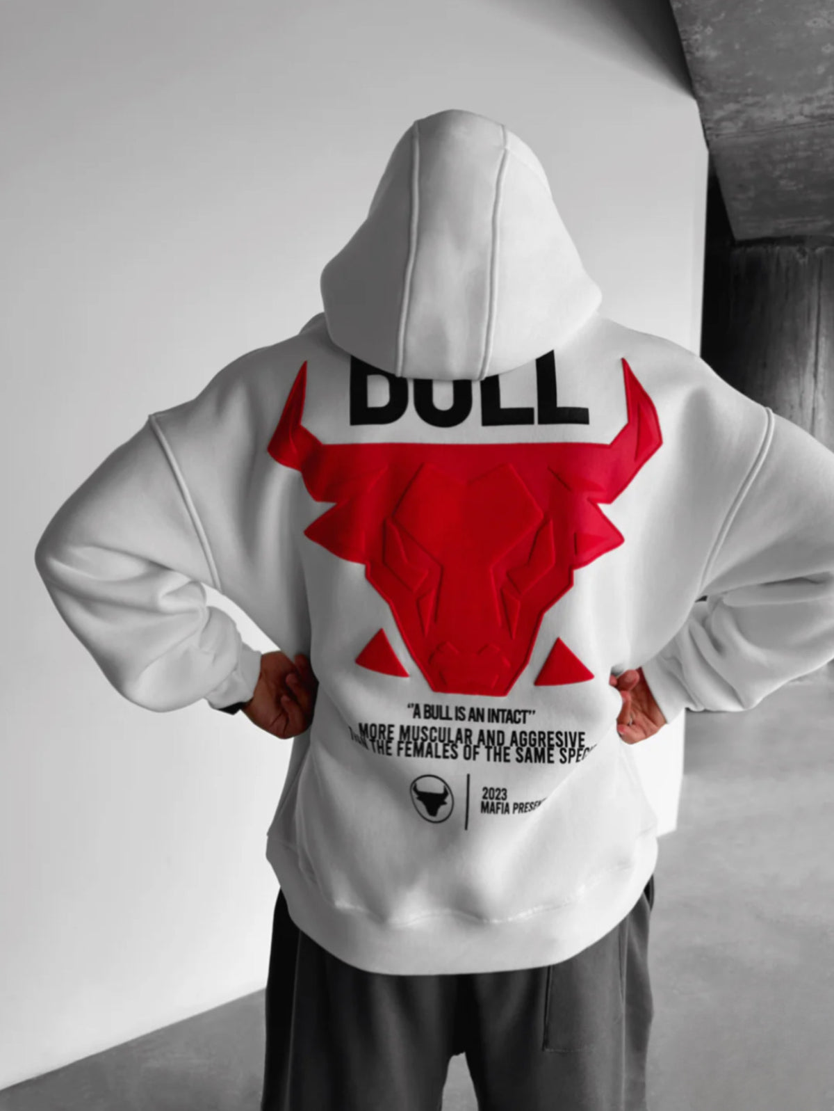 Bull Unisex Hoodie