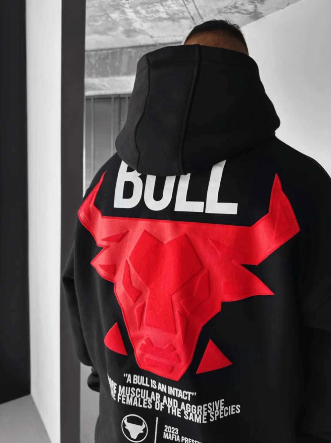 Bull Unisex Hoodie