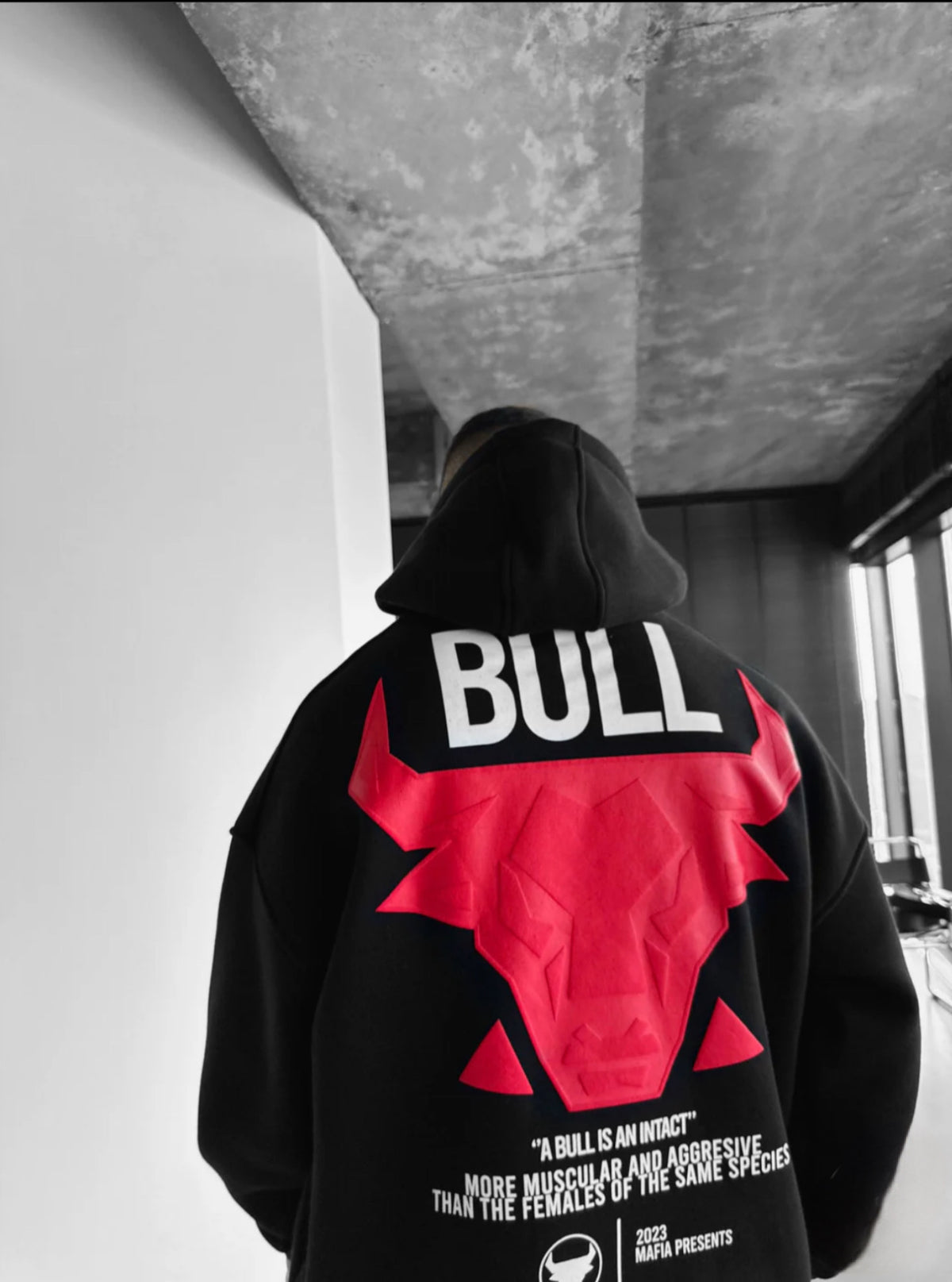 Bull Unisex Hoodie