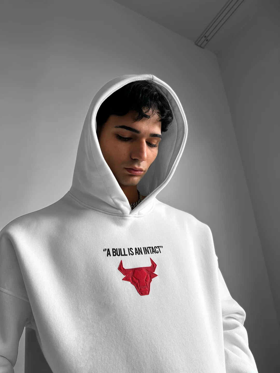 Bull Unisex Hoodie